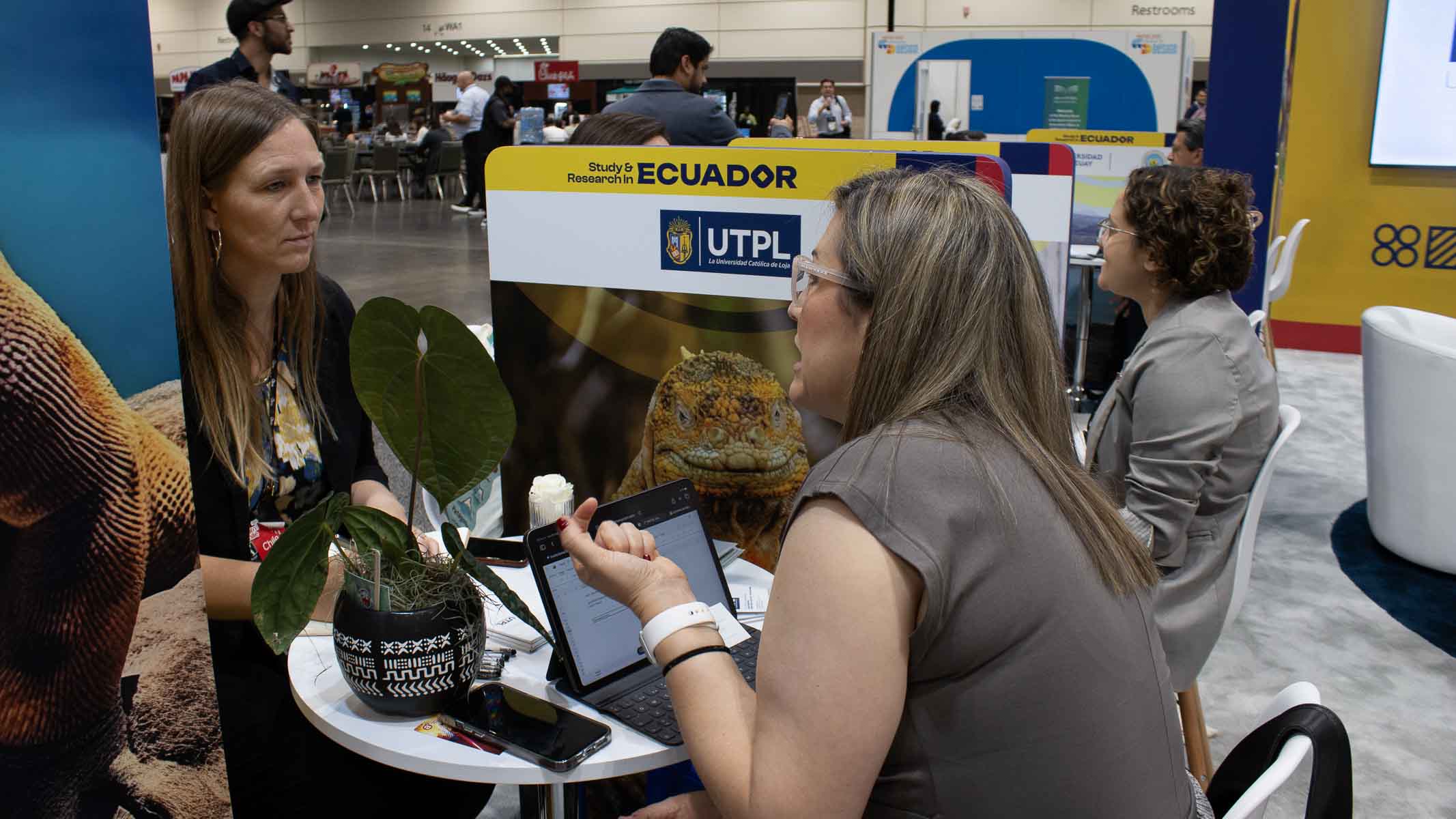 Galeria_NAFSA-261